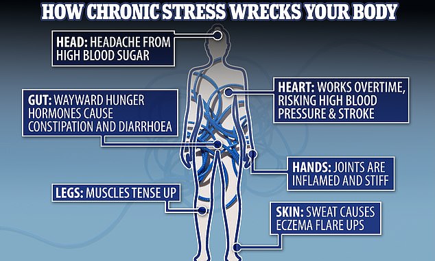 Woman who struggled with chronic stress shares the new habit she credits for changing her life