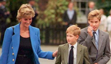 Princess Diana Reportedly Warned Harry and William About the ‘Difficult Path They Were Born To Follow’