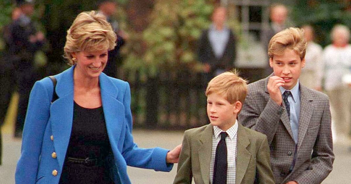 Princess Diana Reportedly Warned Harry and William About the ‘Difficult Path They Were Born To Follow’