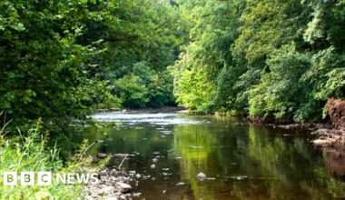 Major £5.5m investment to help improve river's water quality