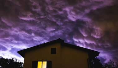 Yahoo news home