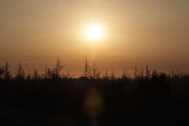 The sun rises over a forest burned by a fire near Roquefort-des-Corbieres, southern France, on August 7, 2025.