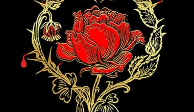 McDermid on Queen Macbeth mixup