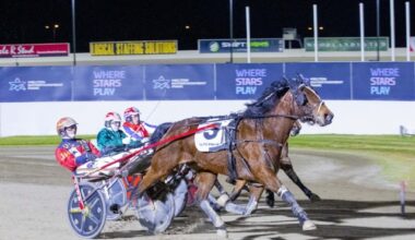 Afternoon Breeze and Tracy The Jet shine in trot features