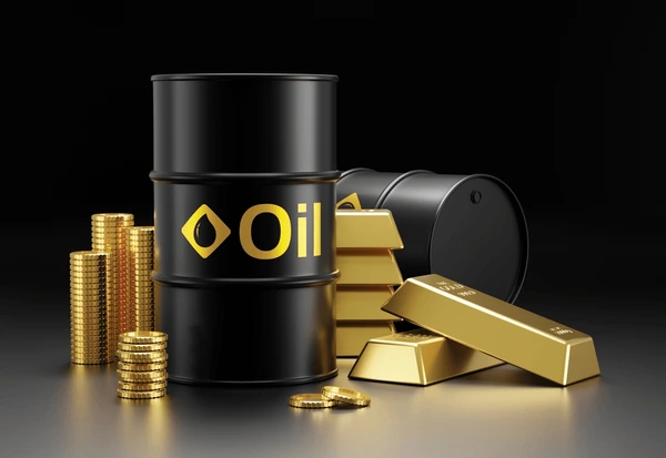 Unthinkable economic move - Ricketts-Hagan on NPP's Gold-for-Oil program