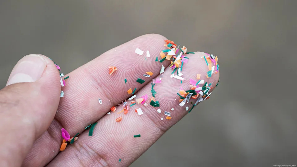 Microplastics have been detected in the brain, placenta and blood<span class="copyright">deeangelo/Depositphotos/IMAGO</span>