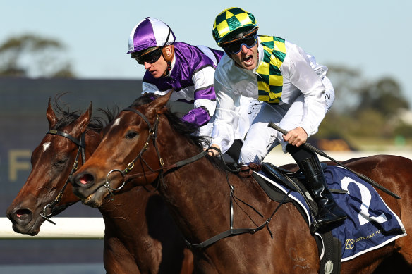 Tommy Berry gives a roar as Sunshine In Paris takes out the Sheraco Stakes last year.