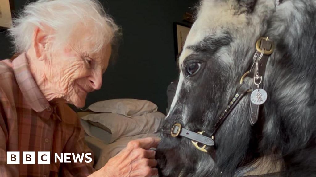 Swindon ponies help patients combat hospital depression