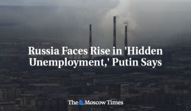 Russia Faces Rise in 'Hidden Unemployment,' Putin Says