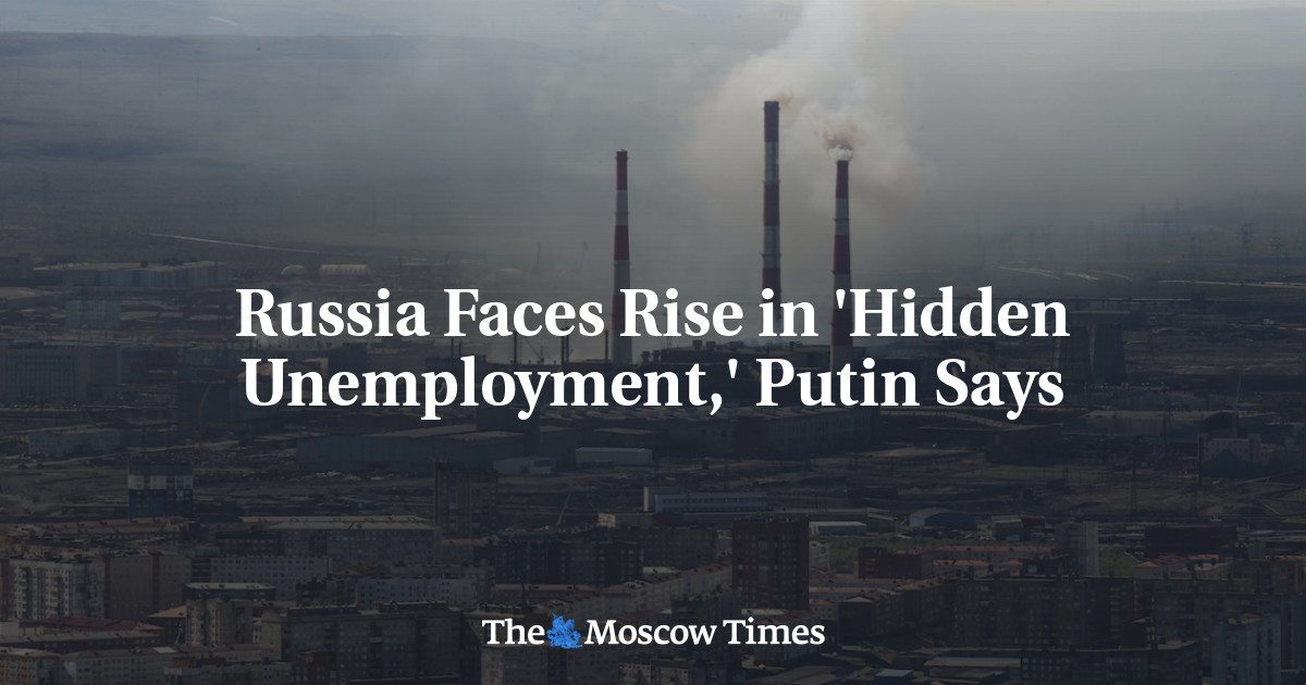 Russia Faces Rise in 'Hidden Unemployment,' Putin Says