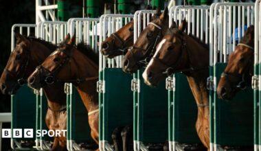 Horses in the stalls for a race at Windsor racecourse