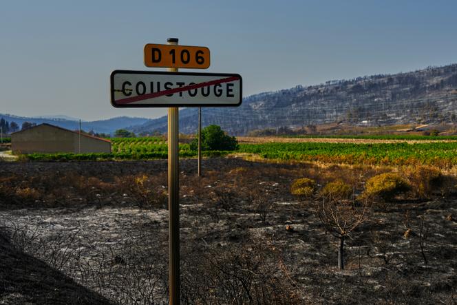 Burned trees are pictured during France's largest wildfire in decades in Coustouge, southern France, August 7, 2025. 