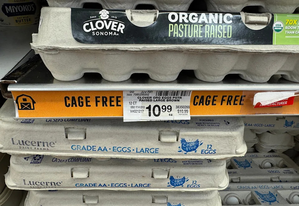 Egg cartons labeled as organic, pasture-raised, and cage-free on a grocery store shelf, priced at $1.99 and $10.99
