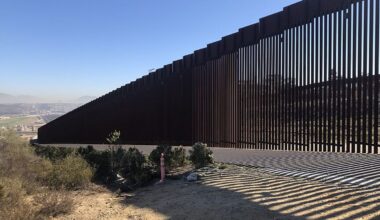 The Brain’s Border Wall and Psychiatric Illness