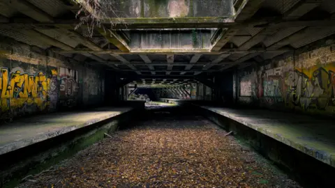 Craig McGeough An image of an abandoned railway station at Glasgow's Botanic Gardens showing the overgrown track  with shards of sunlight coming through gaps above - the platforms on each side  have graffiti on the walls and the whole scene has been reclaimed by nature

