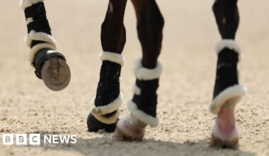 Horse rider dies after fall during Northamptonshire event