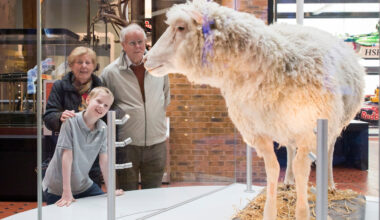 What’s On at National Museums of Scotland – The NEN – North Edinburgh News
