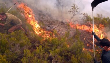 Spain’s August heatwave was ‘most intense on record’, weather agency says | Climate News