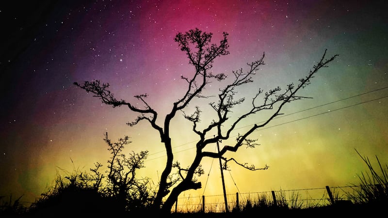 Northern Lights could be visible in Northern Ireland to bring in the new year