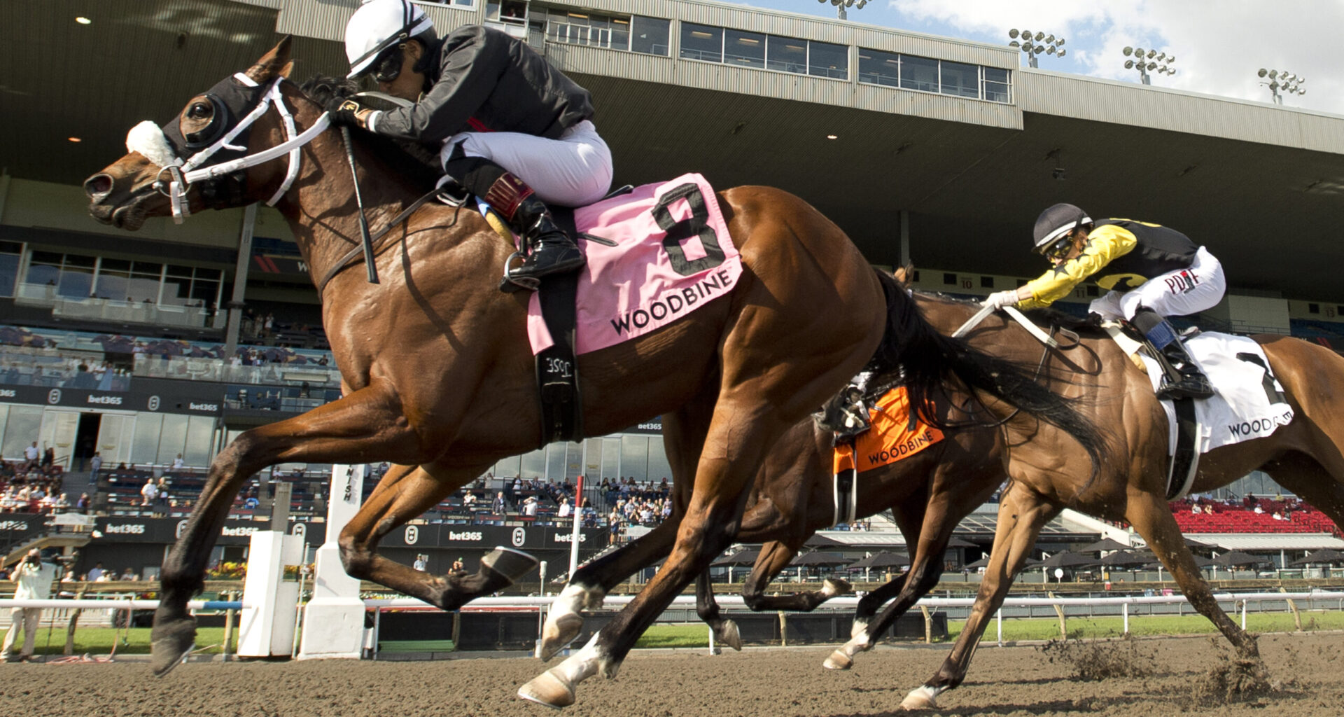 Speedy Freeze, Souper Diva, Big Bold and First, Friendly Ghost take Yearling Sales Stakes