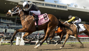 Speedy Freeze, Souper Diva, Big Bold and First, Friendly Ghost take Yearling Sales Stakes