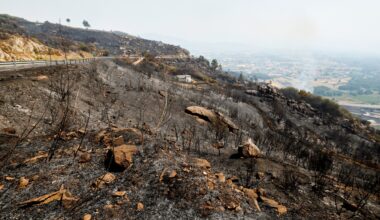 Spain suffers third wildfire death as thousands remain displaced in Europe | Climate Crisis News