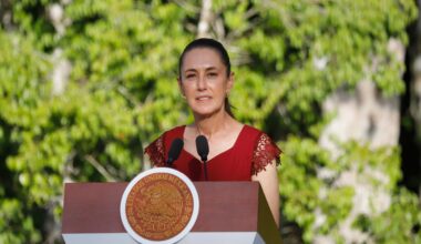Mexico’s President Claudia Sheinbaum denies knowledge of US drug initiative | Government News