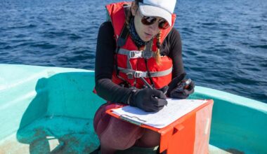 EU invests €116 million in 13 projects to restore ocean and waters