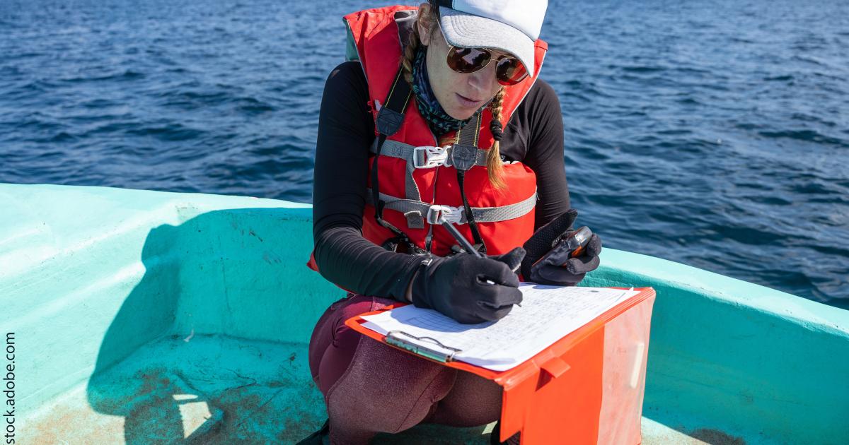 EU invests €116 million in 13 projects to restore ocean and waters