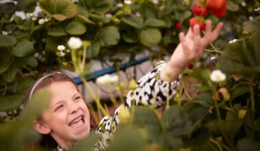 Scotland Rural Tourism Strategy: How Agritourism is Transforming the Highlands