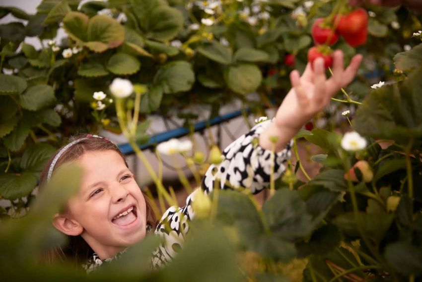 Scotland Rural Tourism Strategy: How Agritourism is Transforming the Highlands