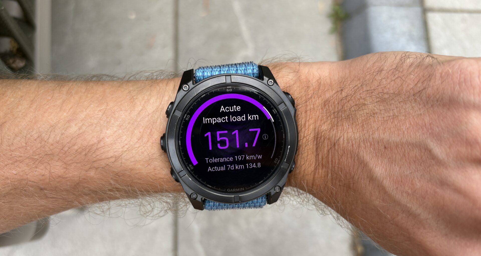 Garmin Fenix 8