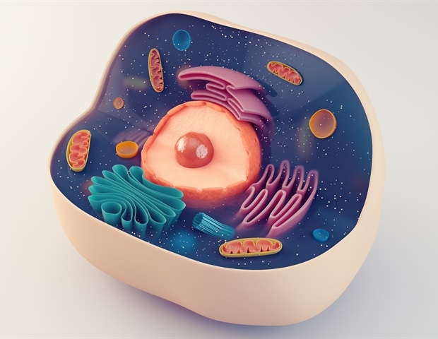 Dual epigenetic marks found to regulate cell identity