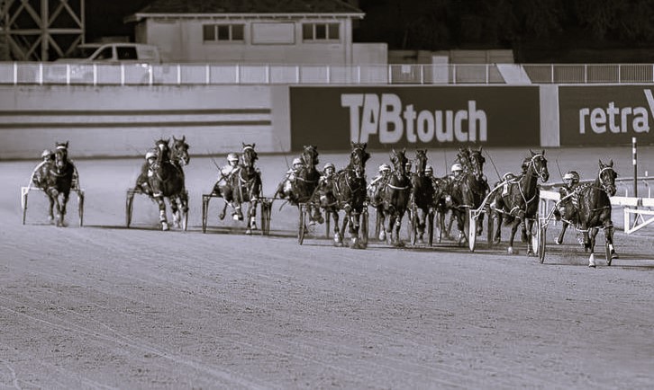 Gloucester Park Harness Racing