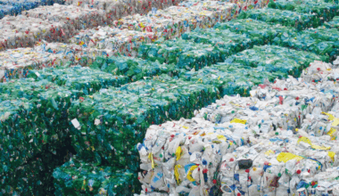 EU plastic recyclers demand action to prevent sector’s ‘imminent collapse’