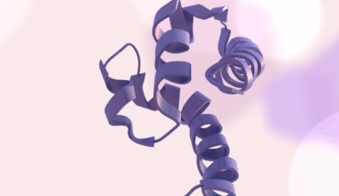 All you need to know about: Bloom syndrome