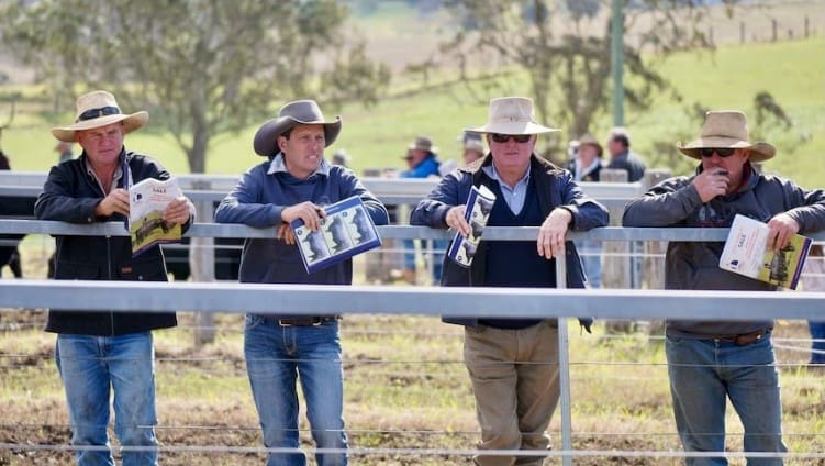 Better understanding of genetic adoption practices among producers in Northern Australia