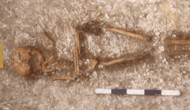 Skeletons Reveal an Unexpected Lineage Buried in Medieval England : ScienceAlert