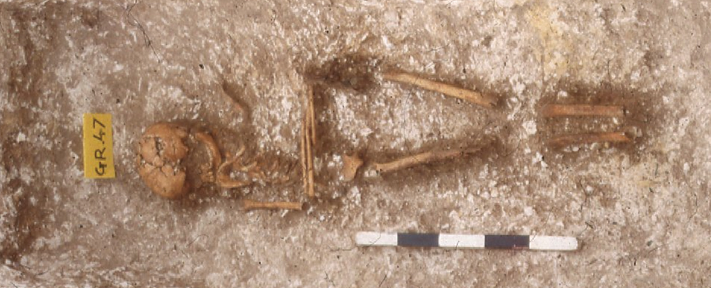 Skeletons Reveal an Unexpected Lineage Buried in Medieval England : ScienceAlert