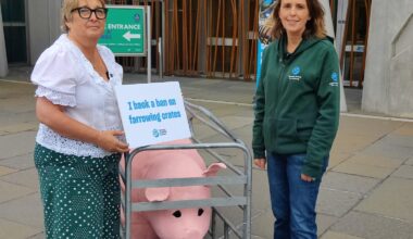 Jardine joins Humane World for Animals campaign