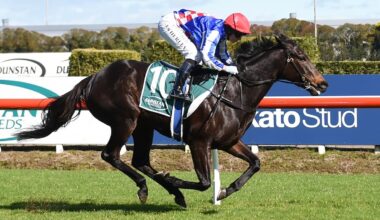Mick On Monday: Everest pressure could pave way for Kiwi lass