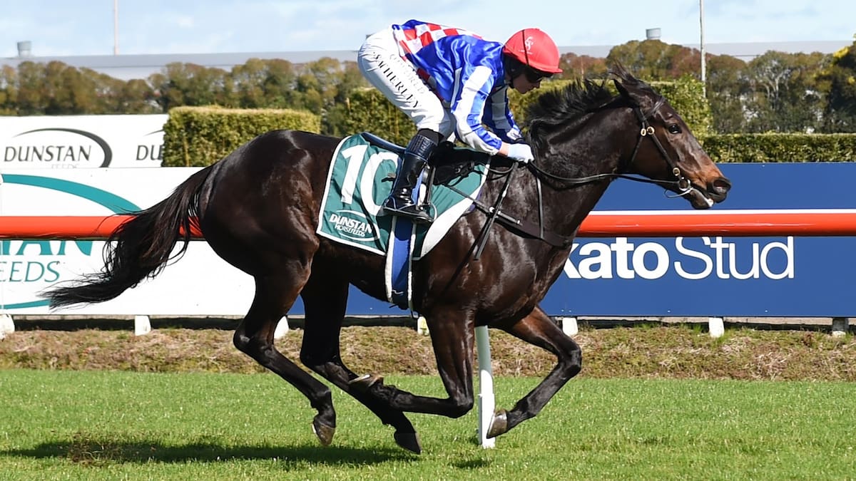 Mick On Monday: Everest pressure could pave way for Kiwi lass