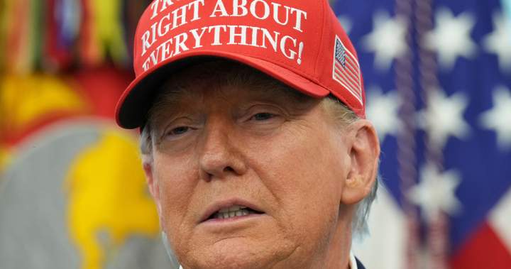 Trump says ‘I’ll see whose fault it is’ if Putin-Zelenskyy meeting not set - National