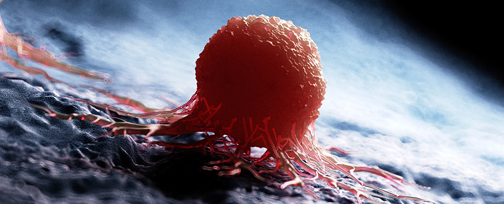 'Universal' Cancer Vaccine Destroys Resistant Tumors in Mice : ScienceAlert