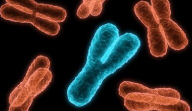 Programmable Chromosome Engineering systems enable precise DNA manipulations