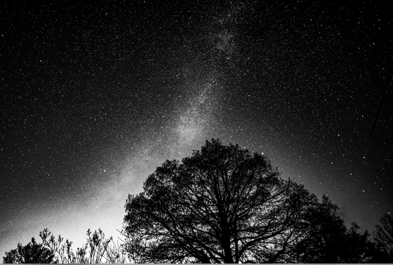 Black Moon: Dark trees and sky with white stars and a brighter band.