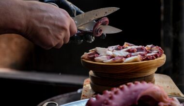 Spain’s octopus capital forced to import octopus amid falling numbers