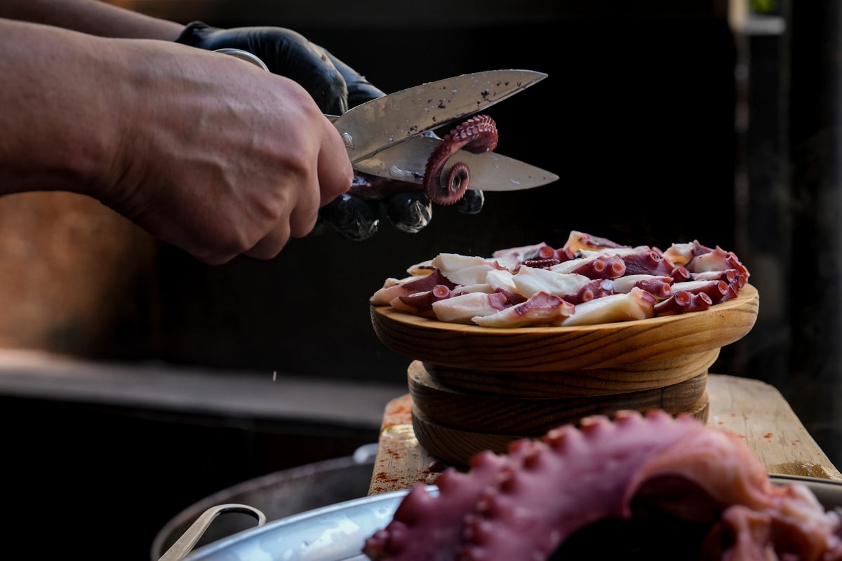 Spain’s octopus capital forced to import octopus amid falling numbers
