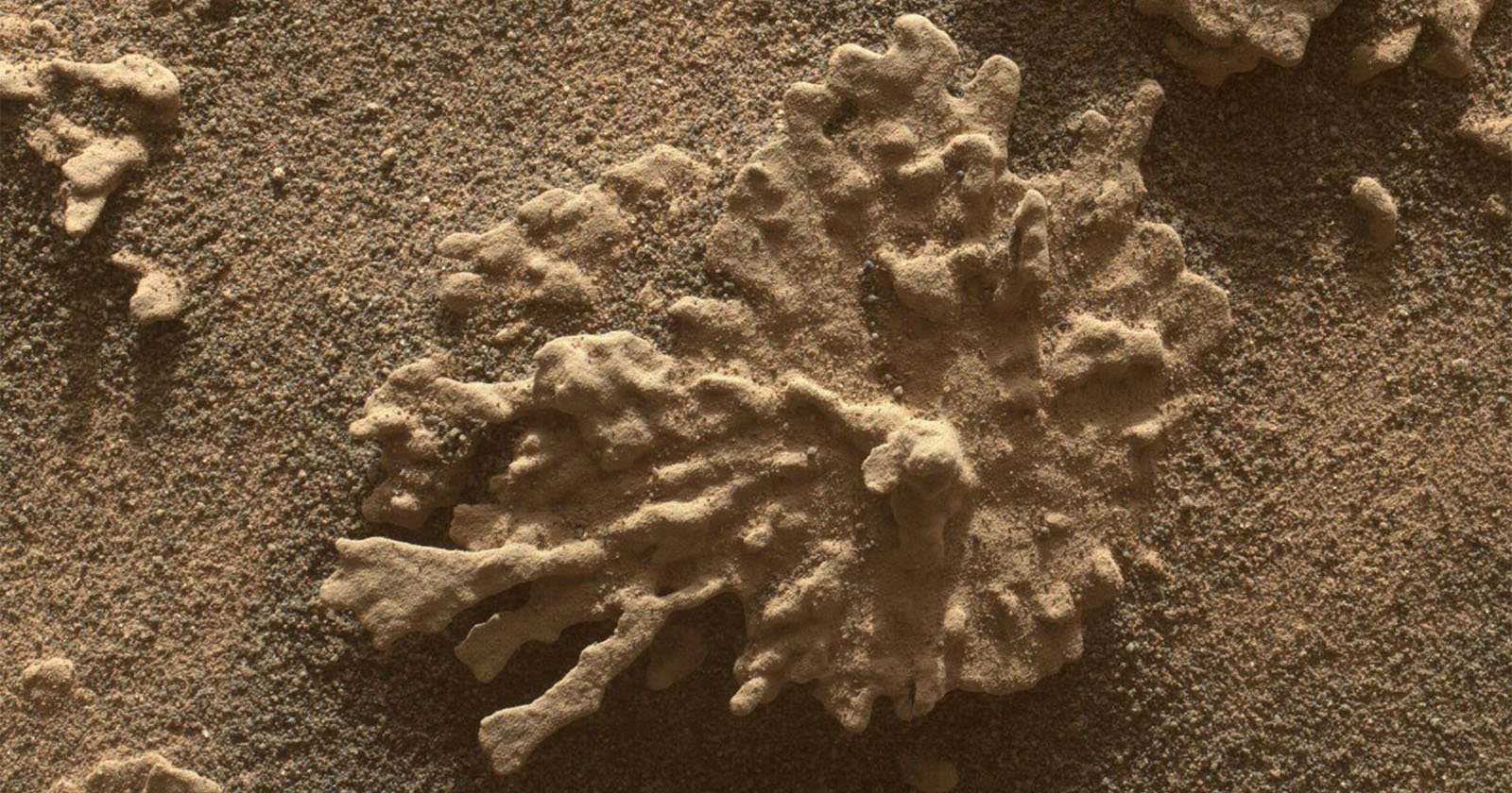 NASA Curiosity Rover Captures Photos of Coral-Like Rocks on Mars