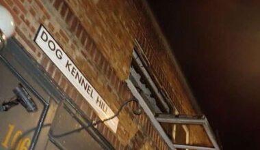 Investigation launched after fire rips through Dulwich flat – Southwark News